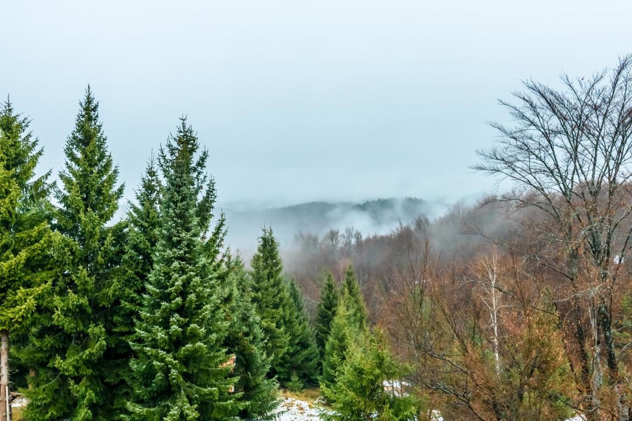 Apartmani “LAZAR” i “LENA” Kopaonik Esterno foto